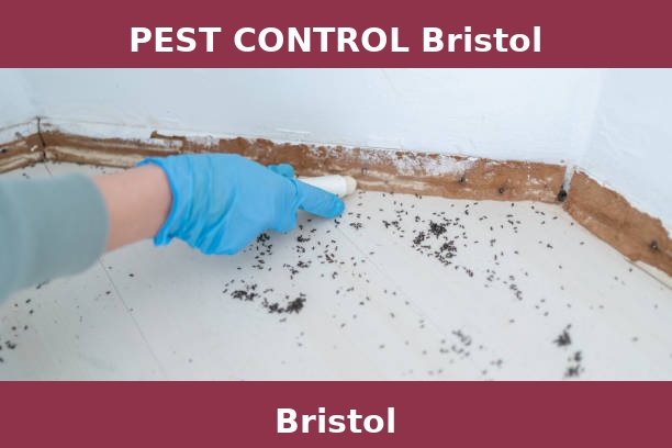 PEST CONTROL Bristol